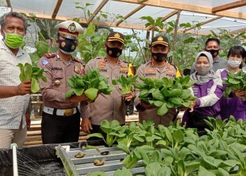 Polres Sarolangun Ubah Lahan Tidur Jadi Kebun Hidroponik