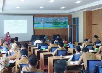 Susun Perencanaan Kajian KLHS RPJMD Tahun 2021-2026, Pemkab Tanjabbar Gelar  Konsultasi Publik