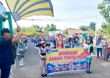 Karnaval Budaya Batanghari, Fadhil Arief: Budaya Harus Tetap Terbingkai dengan Indah Sebagai Pelangi
