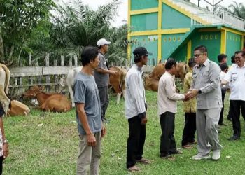 Pjs Bupati Batanghari Serahkan Bantuan Kepada Kelompok Tani Gapoktan